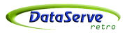 dataserve logo small